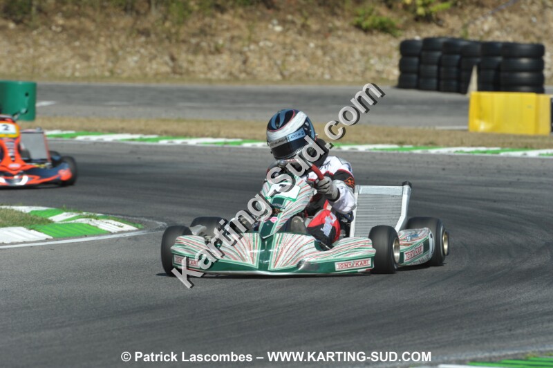 DSC_ (1121).JPG